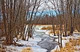 Winter Brook_05961